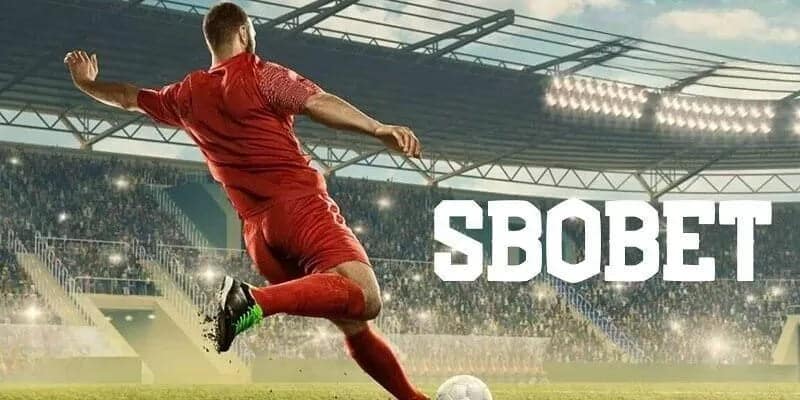 Ưu điểm nổi bật của tỷ lệ kèo sbobet