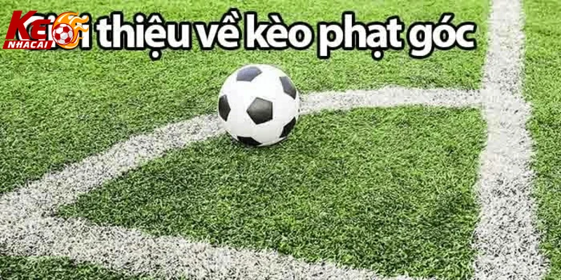 trải nghiệm người chơi kèo phạt góc chi tiết