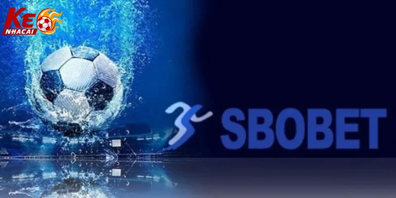 trải nghiệm người chơi trên sbobet